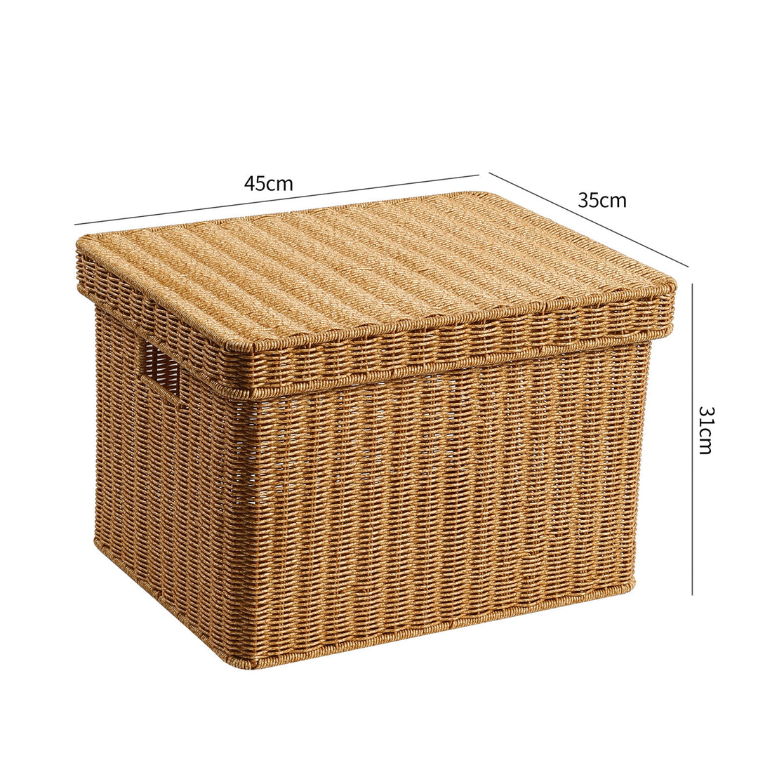 Handwoven Decorative Storage Chest Bowlift