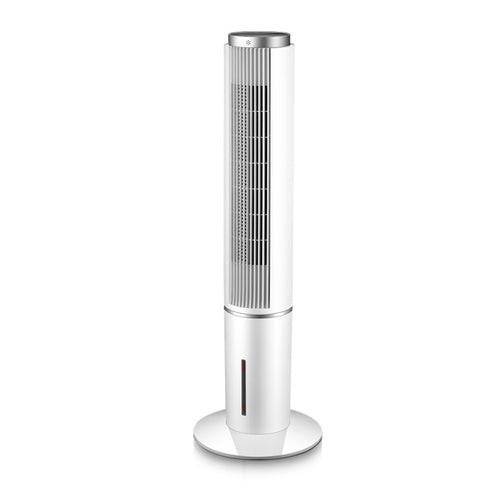 Ladies Stand Fan Bowlift