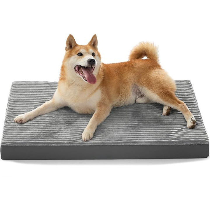 Dog Bed