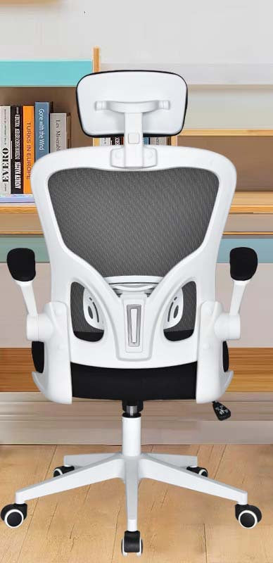 Ergonomic Office Chair Bowlift