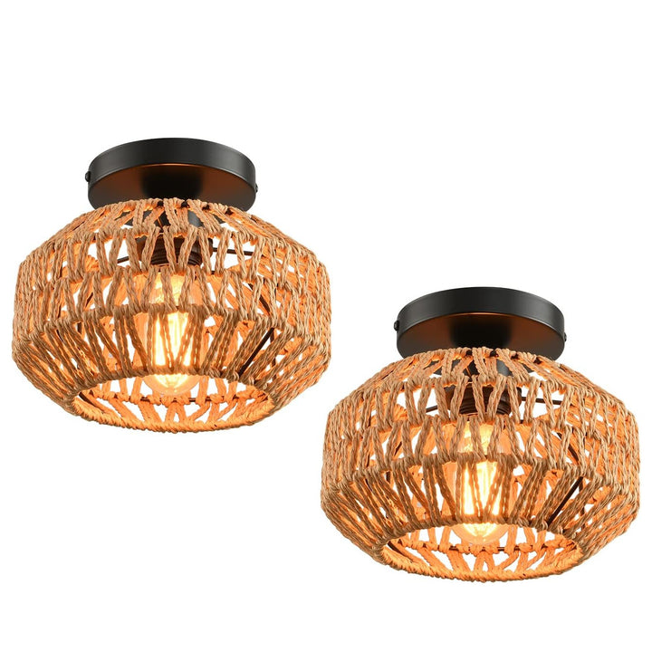 Ceiling light Bowlift