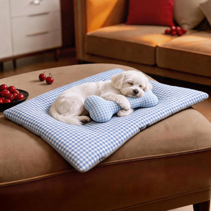 Women’s Luxury Cat Bed with Ergonomic Cushion Bowlift