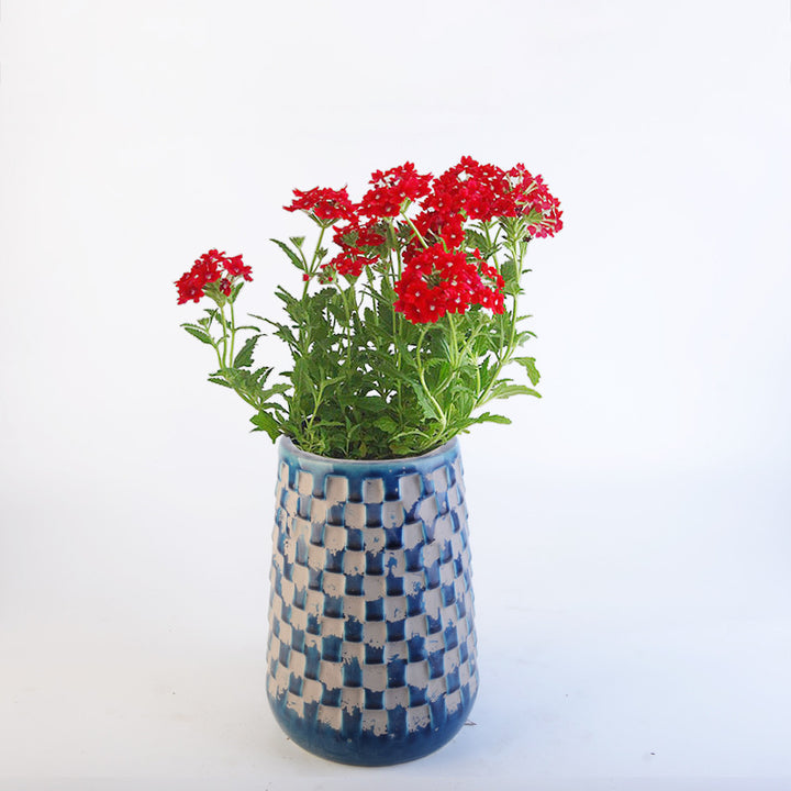 Decorative Flower Pots Bowlift