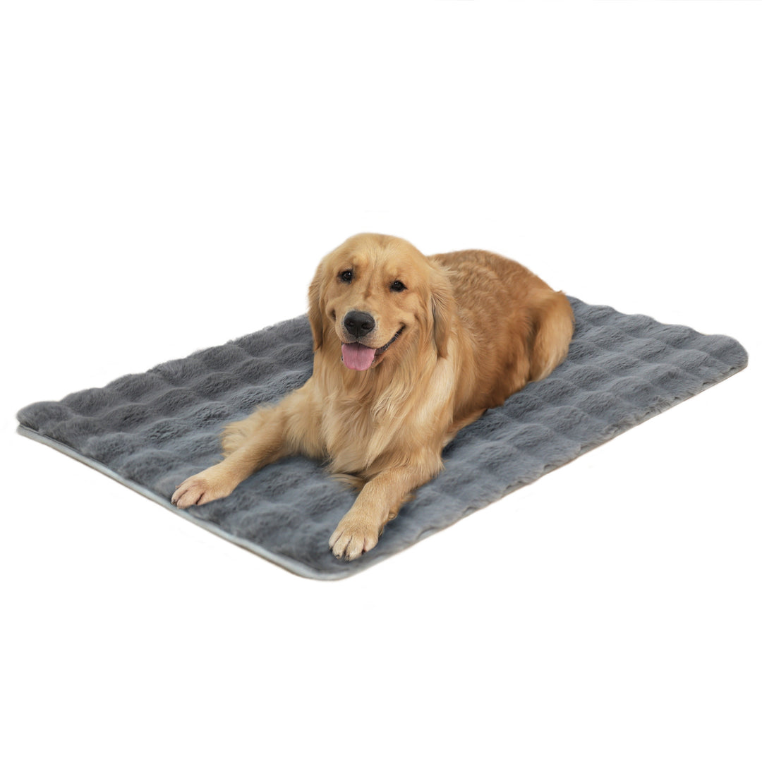 Plush Dog Bed