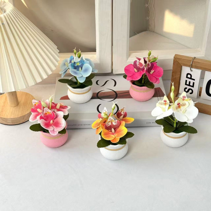 Decorative Potted Orchid Arrangement for Home Decor