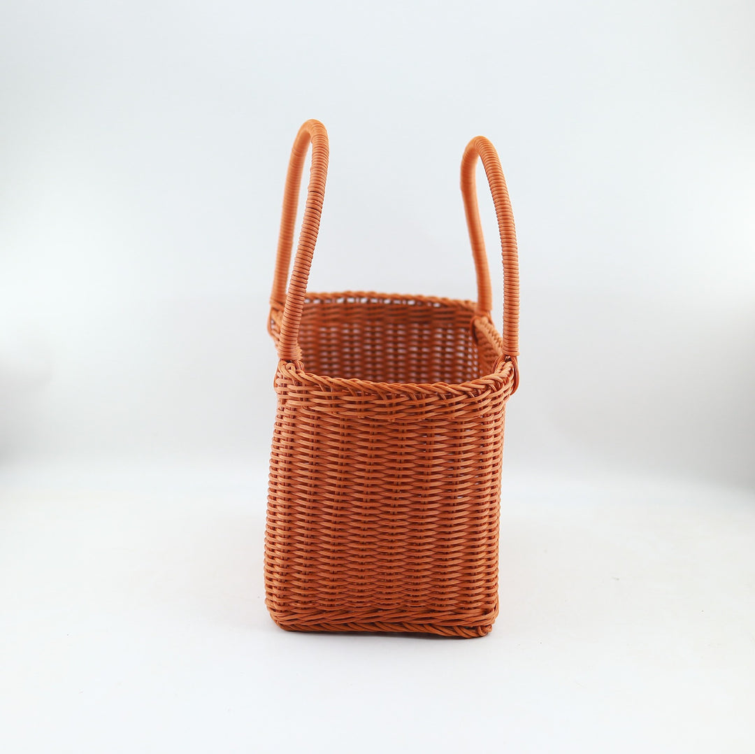 Women Shopping and Storage Basket Bowlift