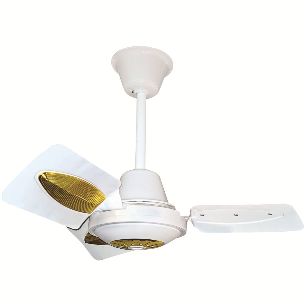 Ceiling fan Bowlift