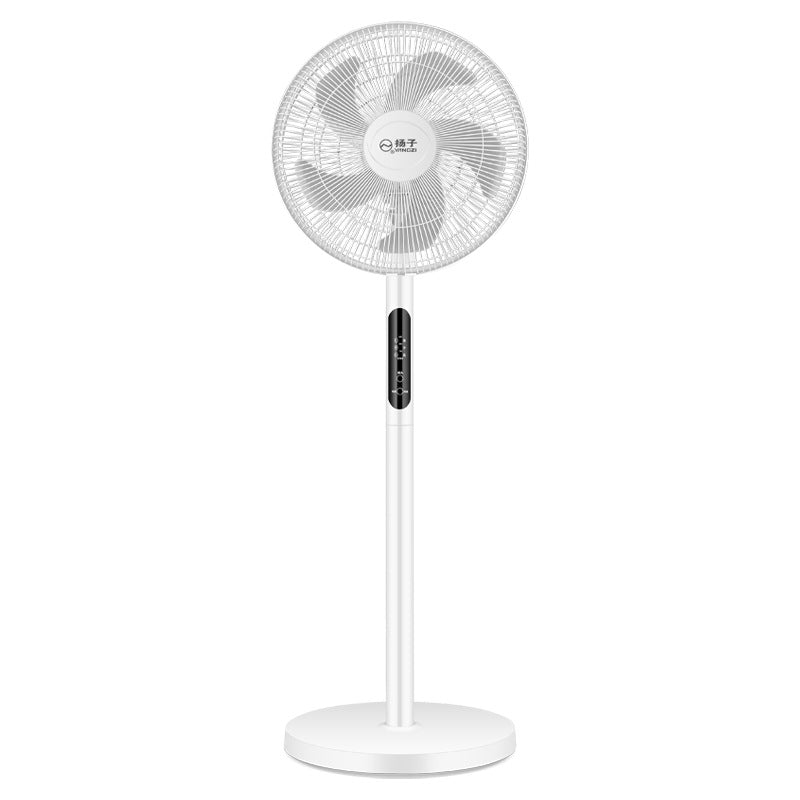 Ladies Stand Fan Bowlift
