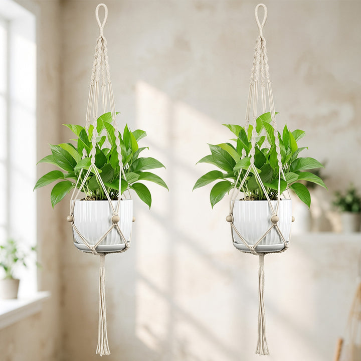 Plant Hanging Pot Bowlift