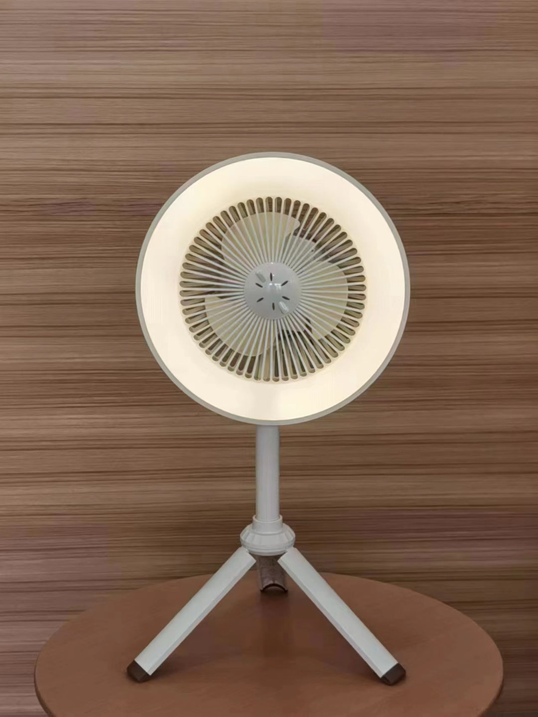 Hanging LED Pendant Light Bowlift