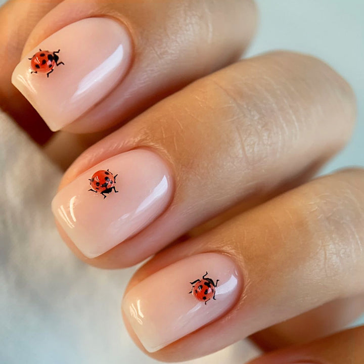 Artistic Ladybug Design Press-On Nail Set Bowlift