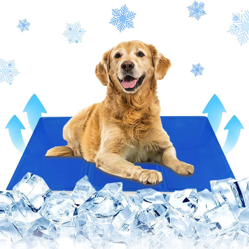 Cooling Dog Mat Bowlift