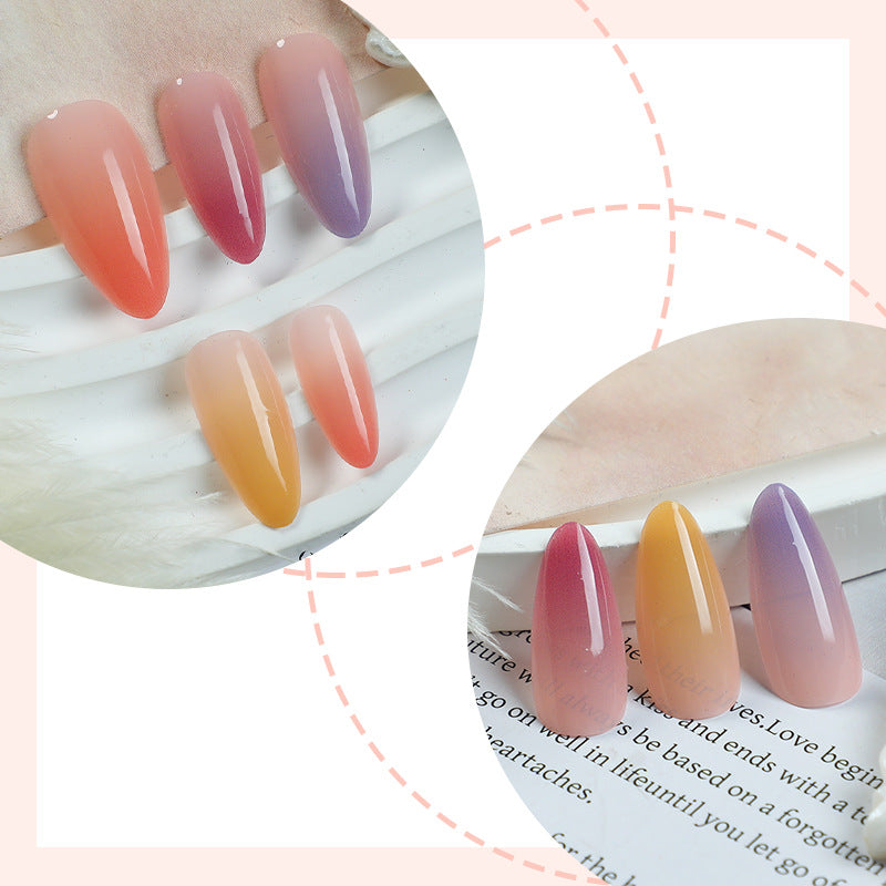 Ombre Nail Art Set with Elegant Gradient Design Bowlift