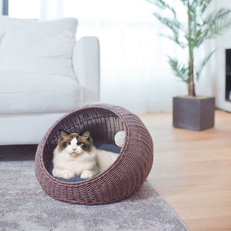 Cozy cat bed made of woven natural material Bowlift