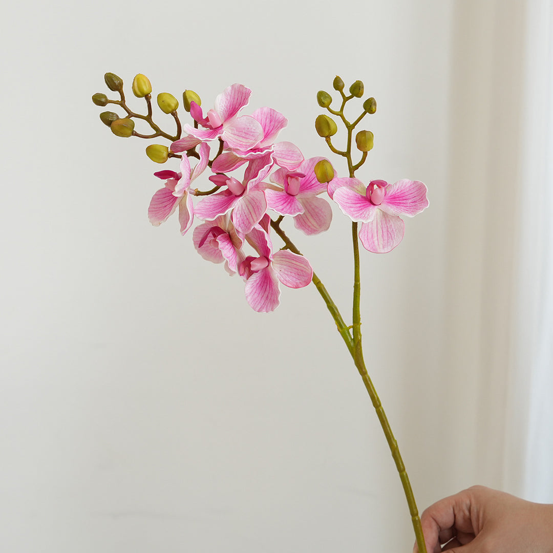 Elegant Orchid Stems Bowlift