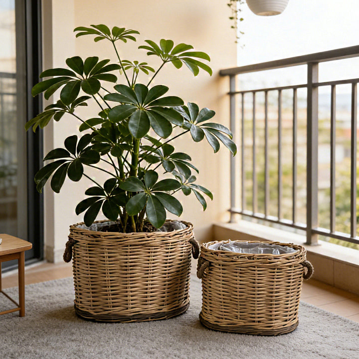 Handwoven storage basket with carrying handles Bowlift