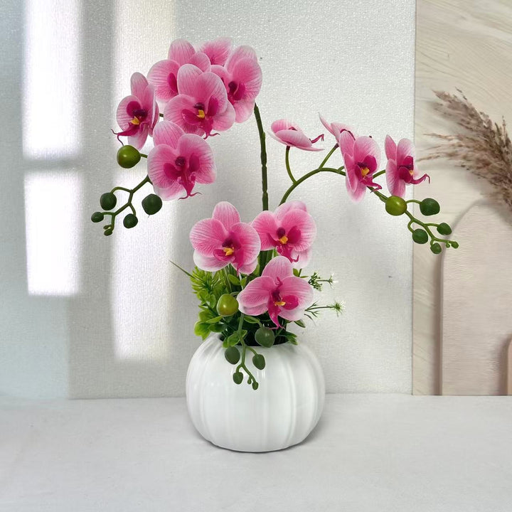 Decorative Orchid Arrangement