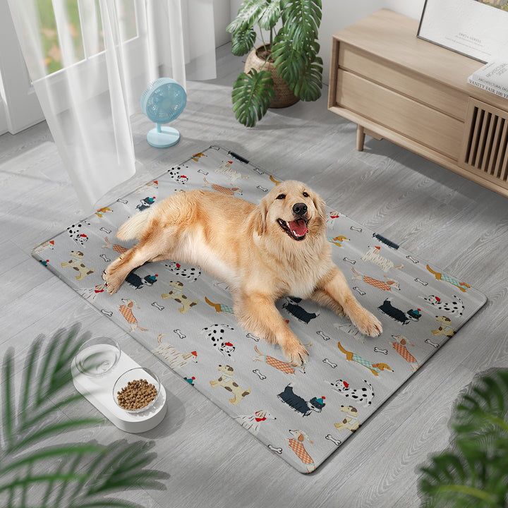 Pet-Friendly Comfort Mat Bowlift