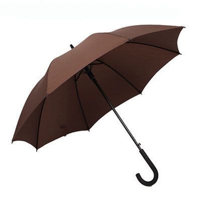 Ladies umbrella with double canopy Bowlift