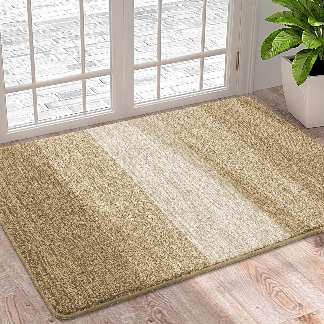 Plush Accent Area Rug