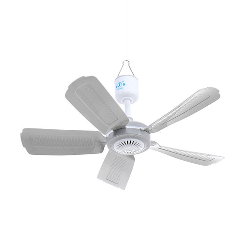 Ladies Ceiling Fan Bowlift