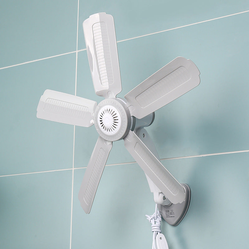 Women Wall Fan Bowlift