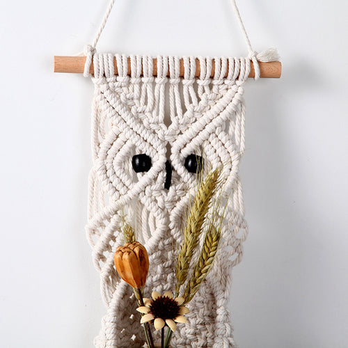 Macrame Owl Hanging Planter Bowlift
