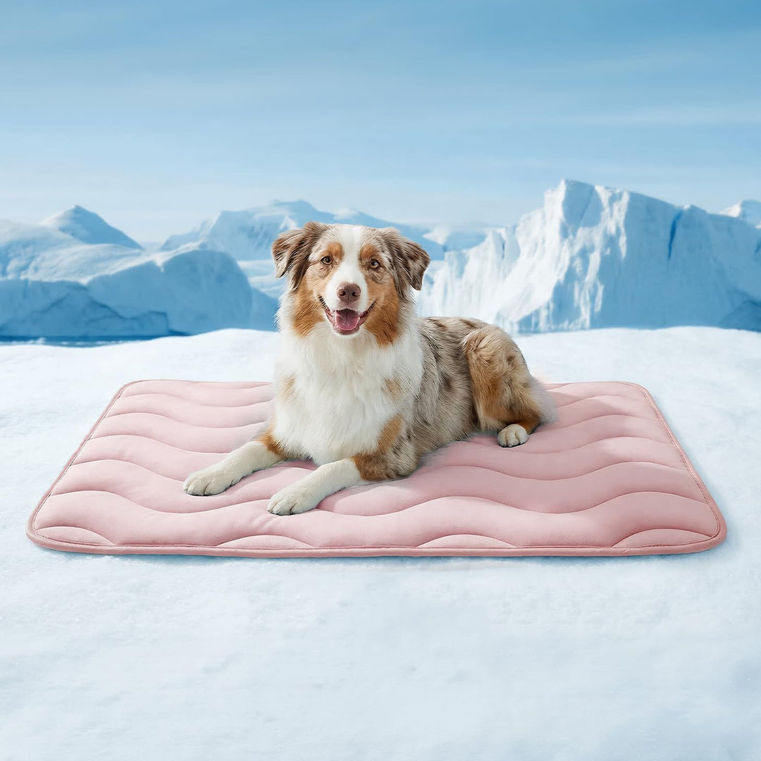 Ladies orthopedic dog bed Bowlift