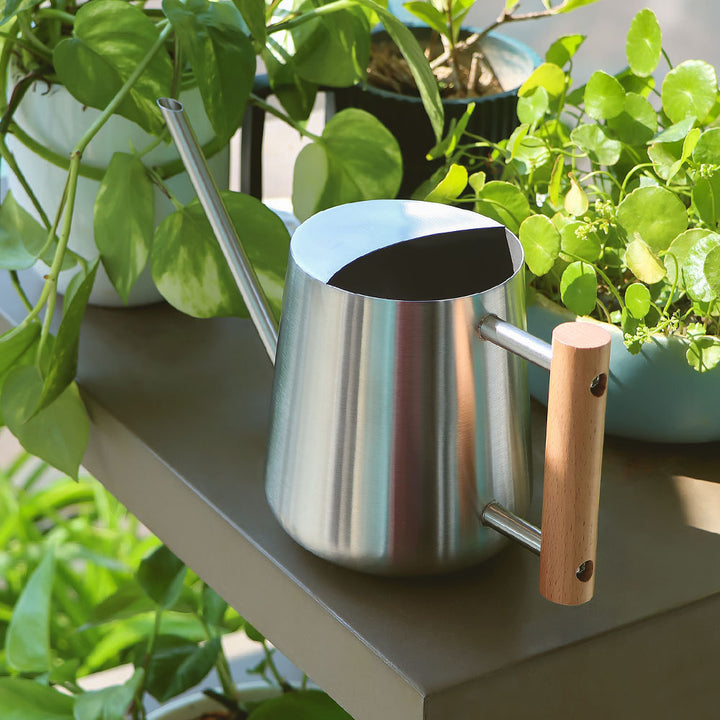 Premium Stainless Steel Watering Can