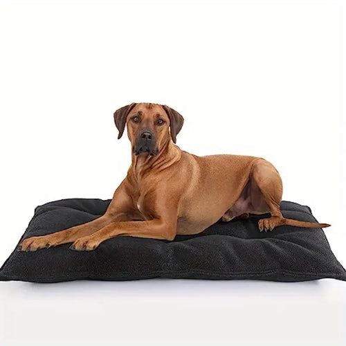 Supportive  Sleeping Pad  Dog Bed