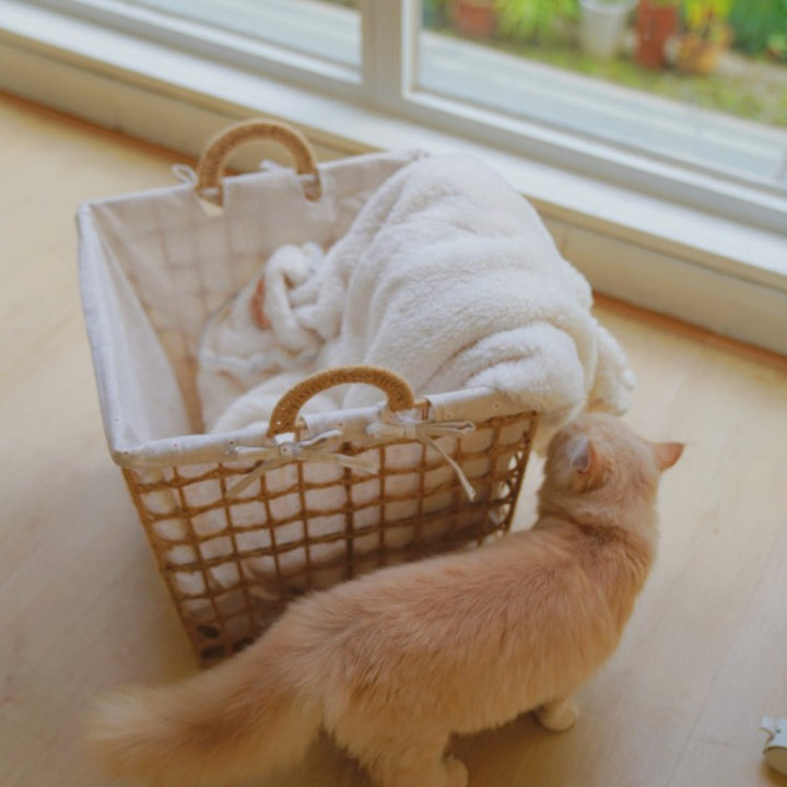 Stylish storage baskets Bowlift