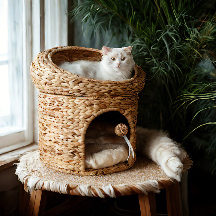Cat bed Bowlift