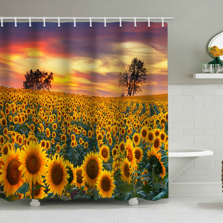 Decorative Shower Curtain Bowlift