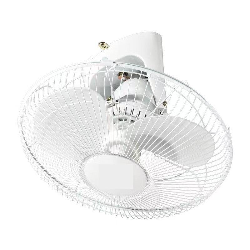 Ladies ceiling fan Bowlift