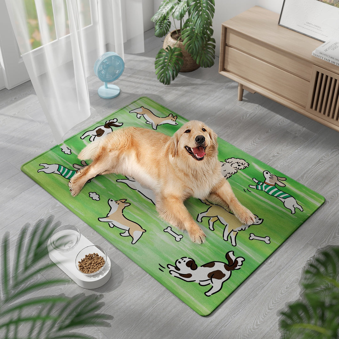 Pet-Friendly Comfort Mat Bowlift