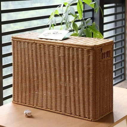 Unisex decorative rattan storage box Bowlift