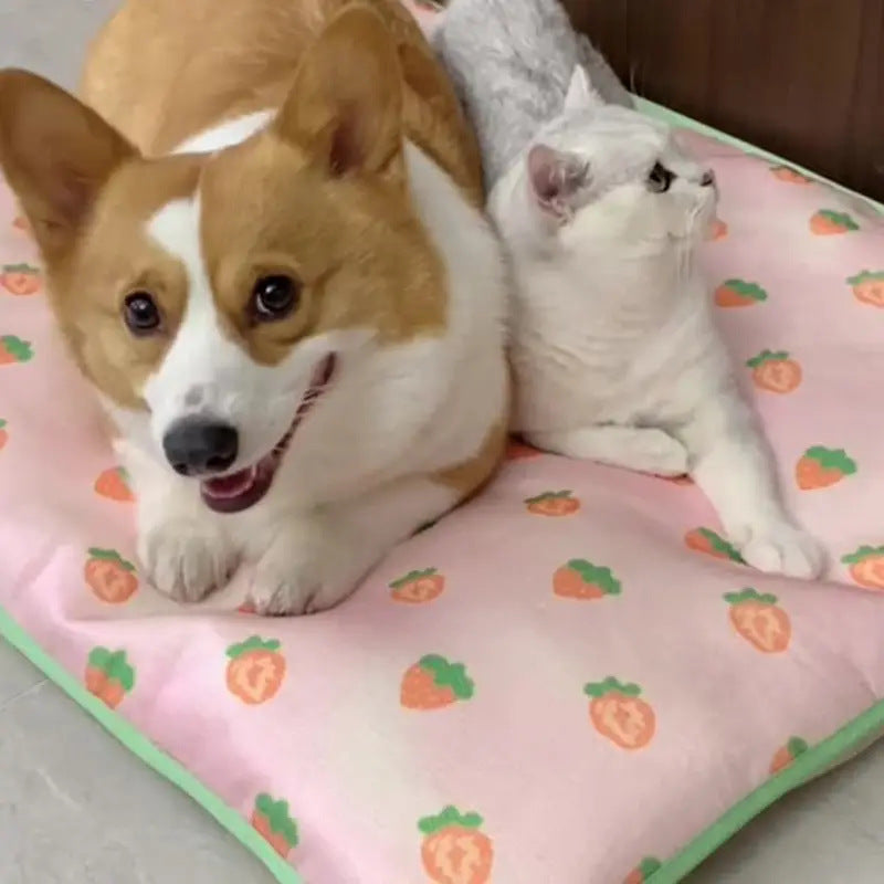 Soft Plush  Retreat  Dog Bed