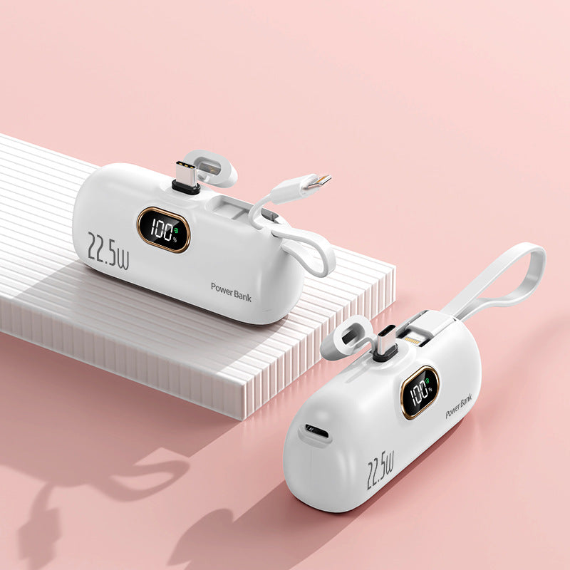 Portable power bank with fast charging cable and LED display Bowlift