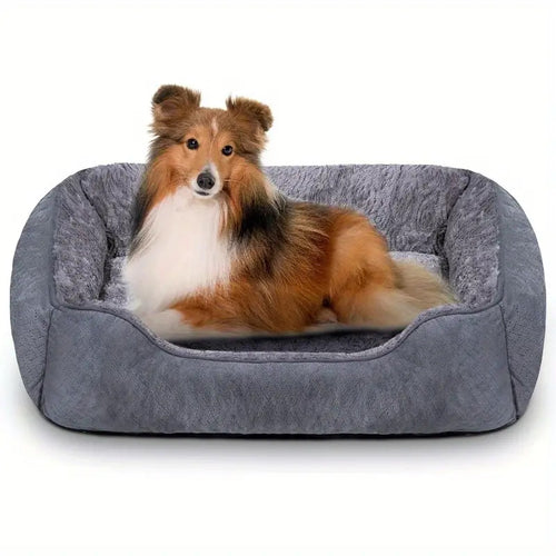 Orthopedic Comfort  Lounge  Dog Bed