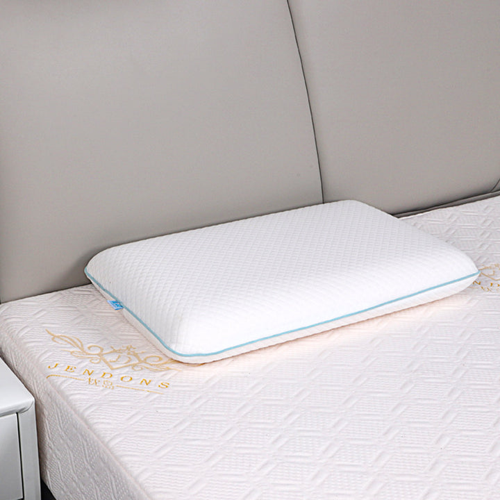 Viscoelastic Sleep Pillow Bowlift
