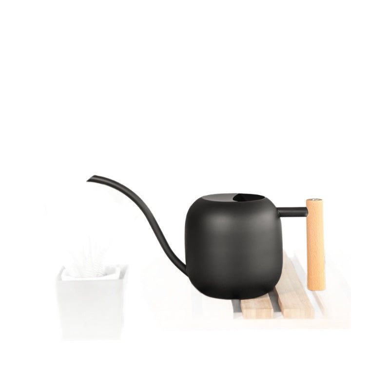 Stylish Ergonomic Watering Can
