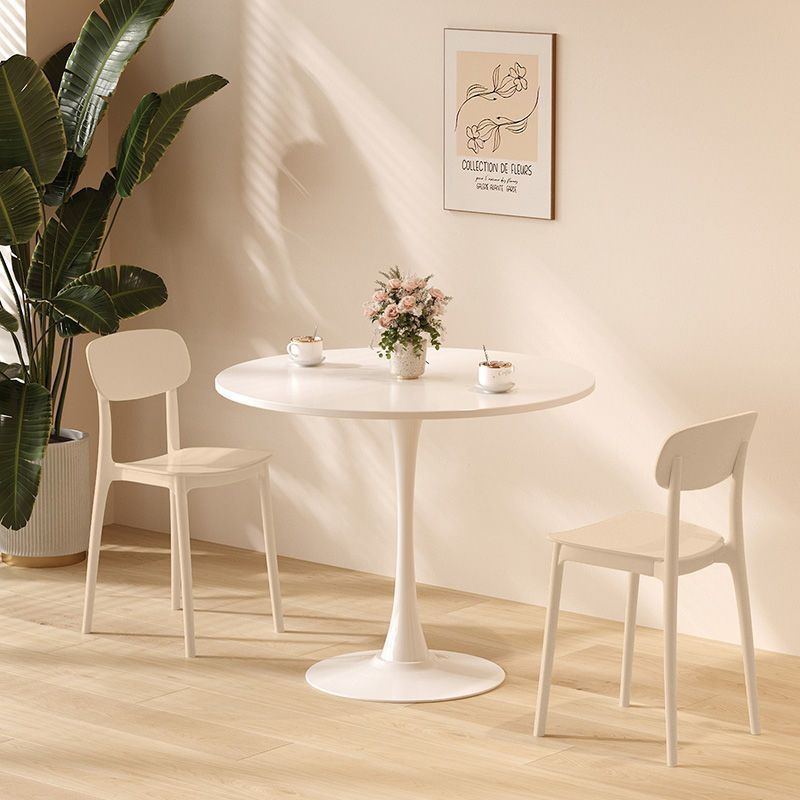 Modern Ergonomic Dining Chair Bowlift