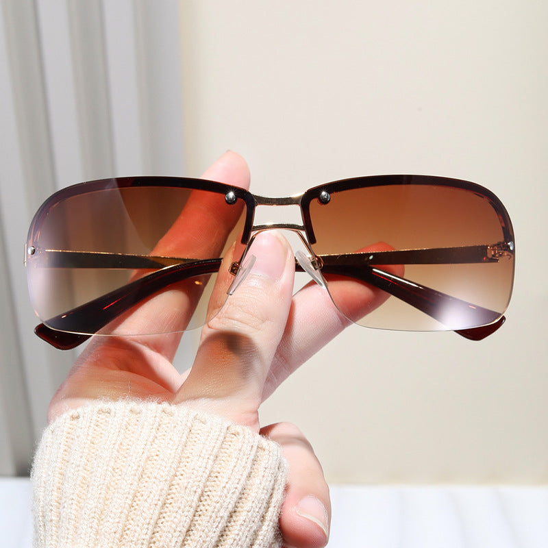 Ladies sunglasses with large, elegant lenses and a modern metal frame Bowlift