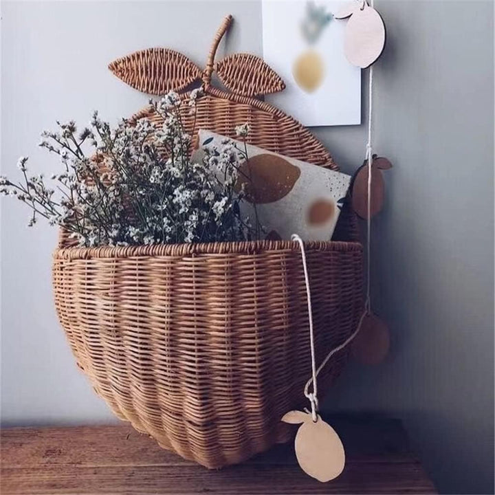Decorative Wall Hanging Basket Bowlift