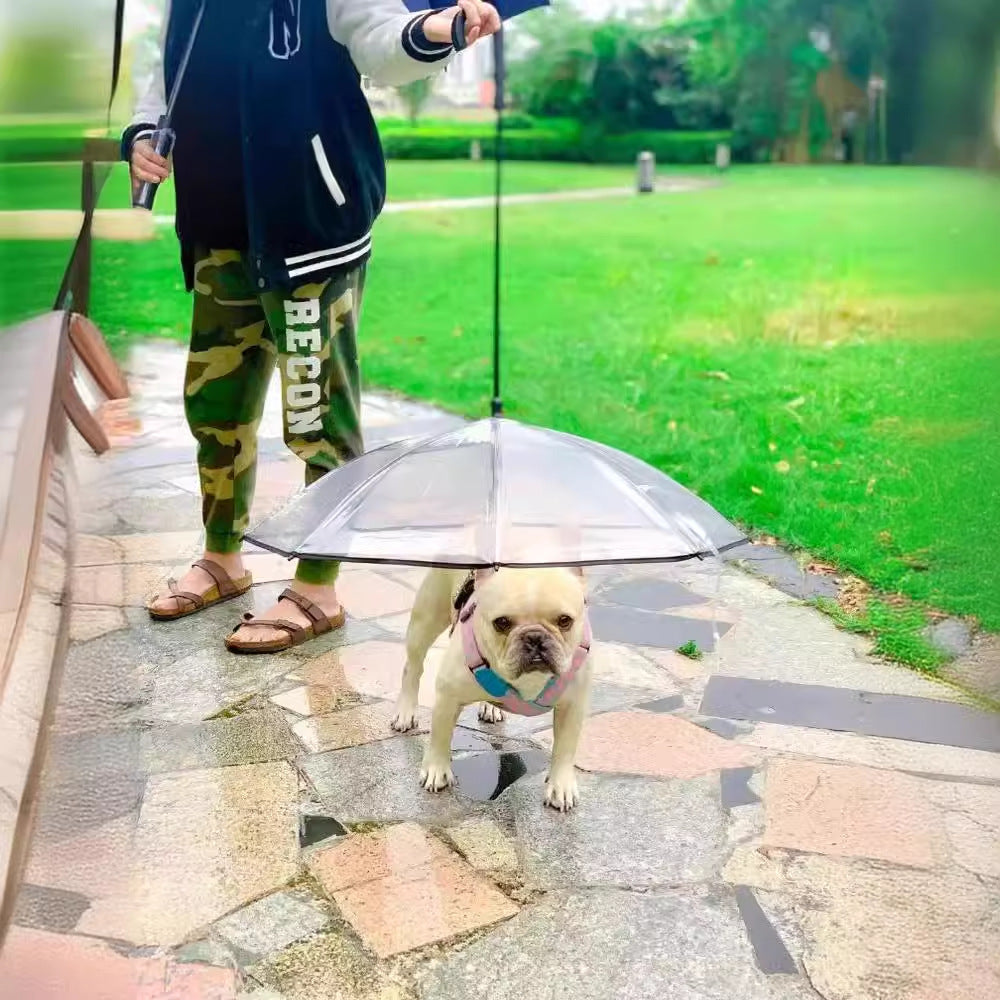 Women Transparent Rain Cape Bowlift