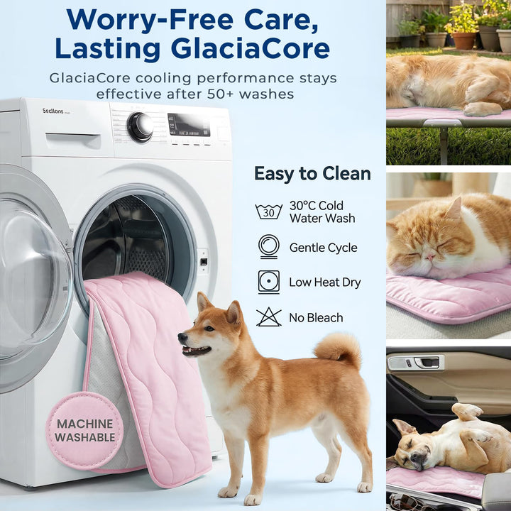 Ladies orthopedic dog bed Bowlift