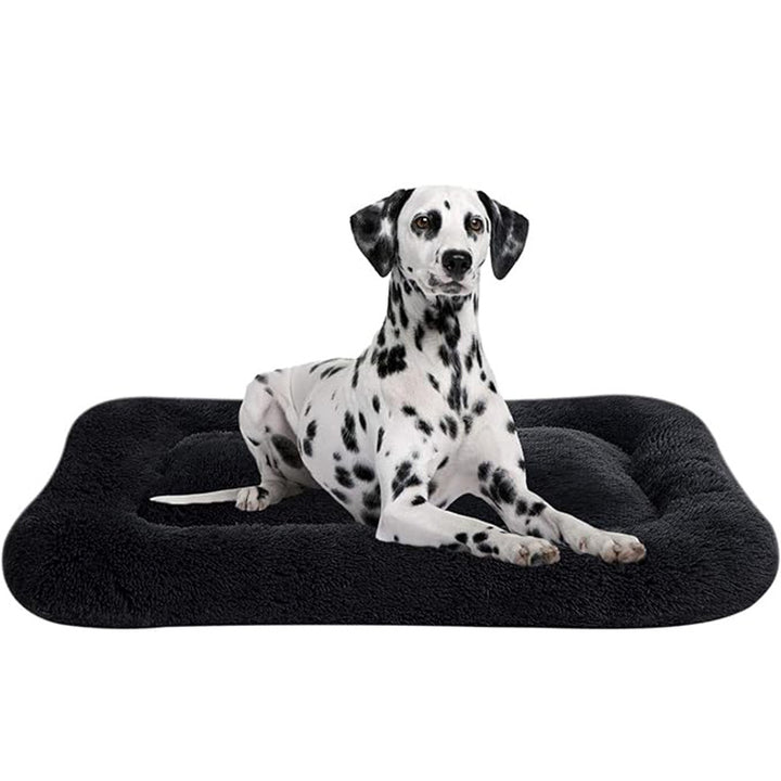 Orthopedic Support Dog Bed