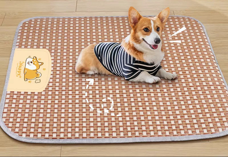 Pet Cooling Mat Bowlift