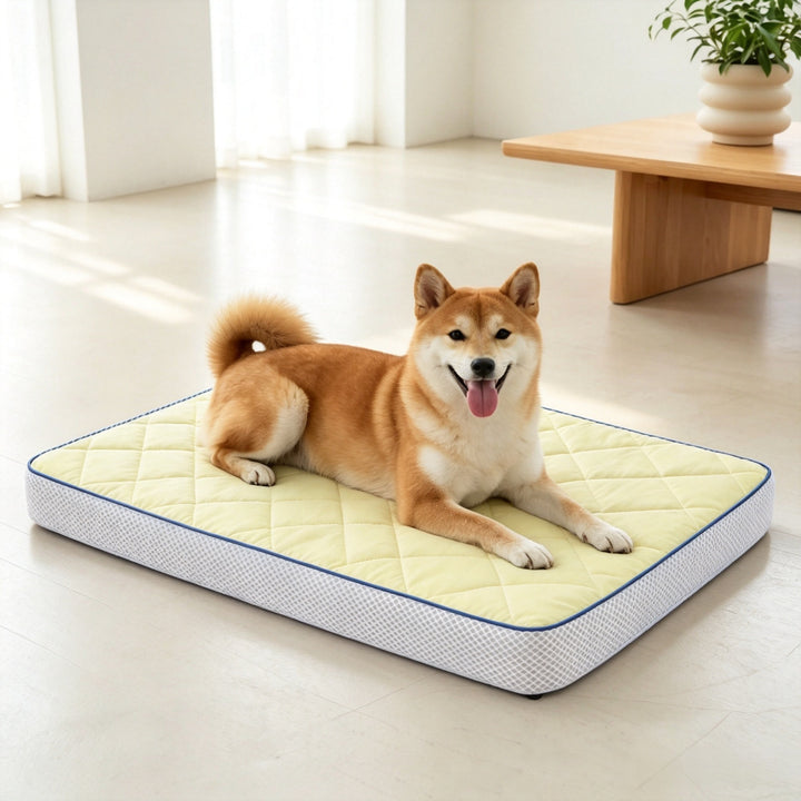 Orthopedic Supportive dog Mattress