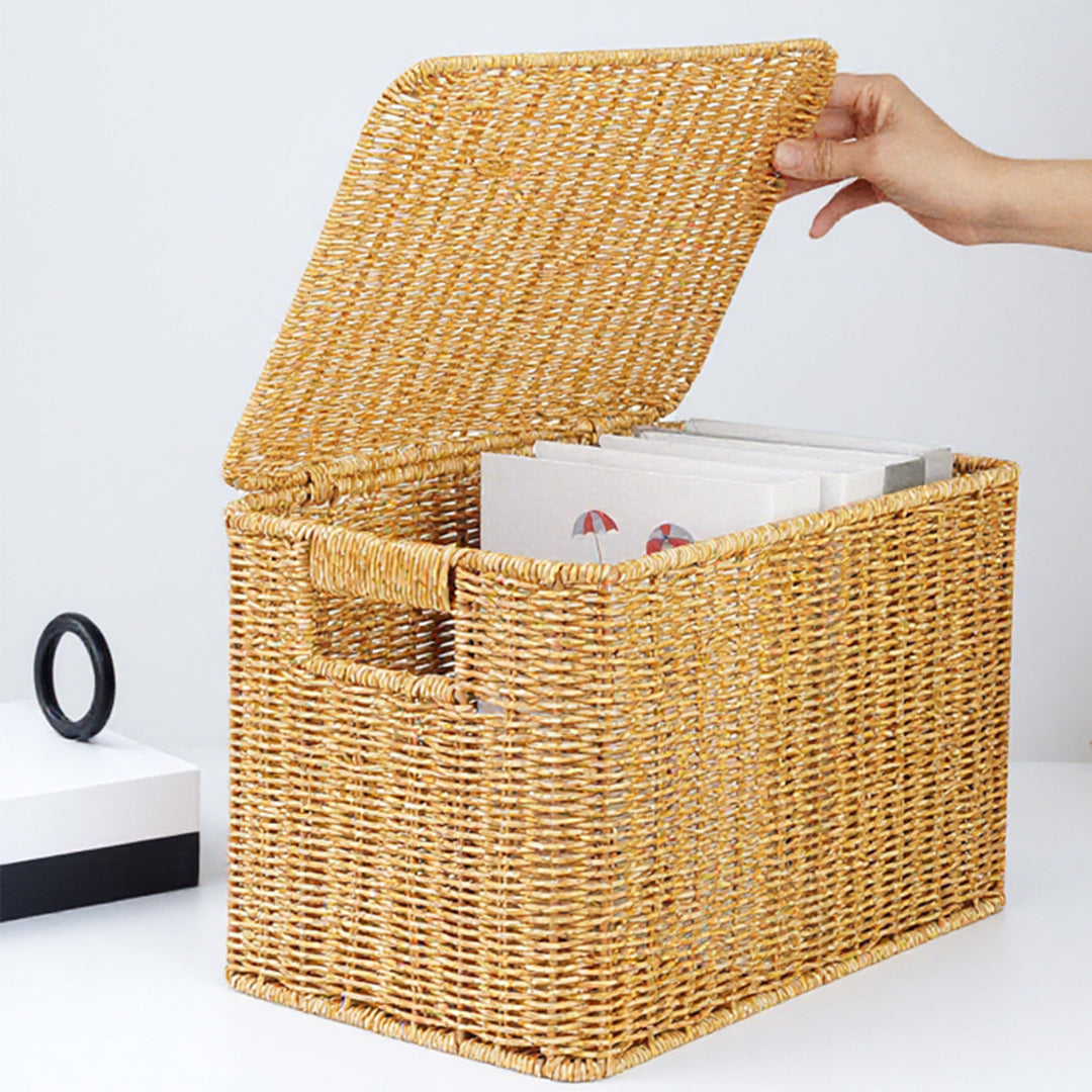 Ladies Generous Storage Basket with Lid Bowlift